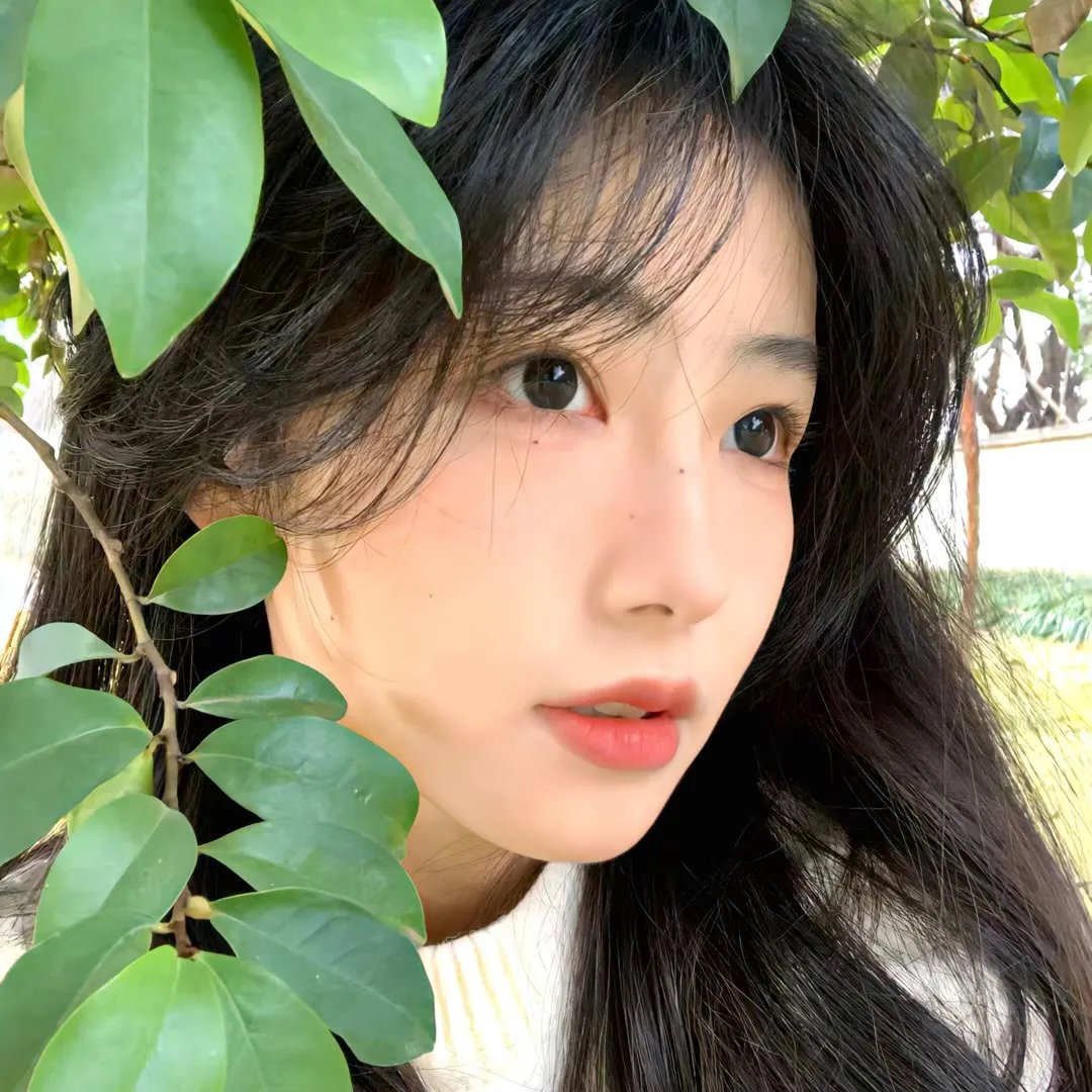 红磨坊